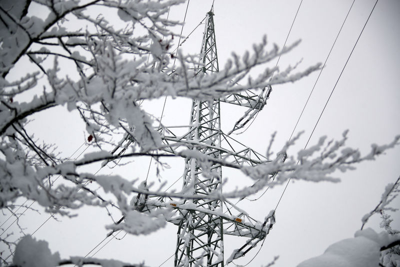 © Reuters. FILE PHOTO: Iced high-voltage power lines and electricity pylons are seen in Warngau