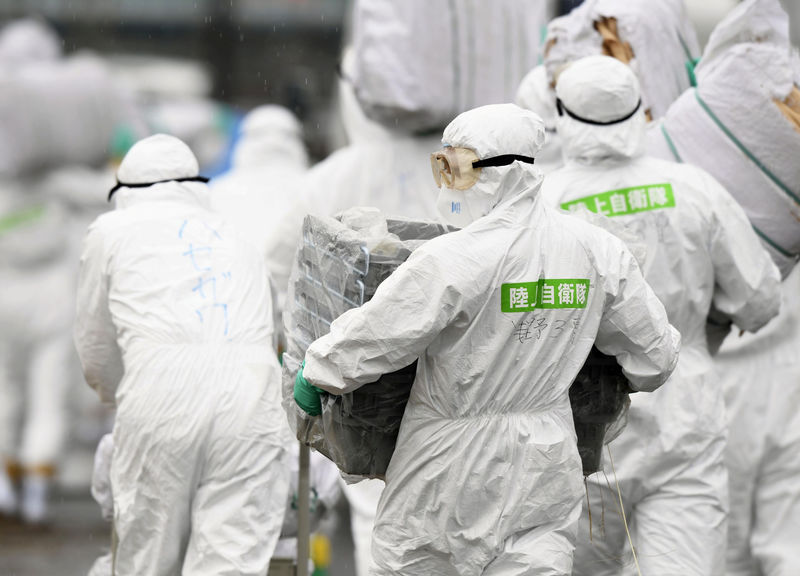 © Reuters. Las autoridades japonesas sacrificarán a 15.000 animales a medida que se extiende la fiebre porcina