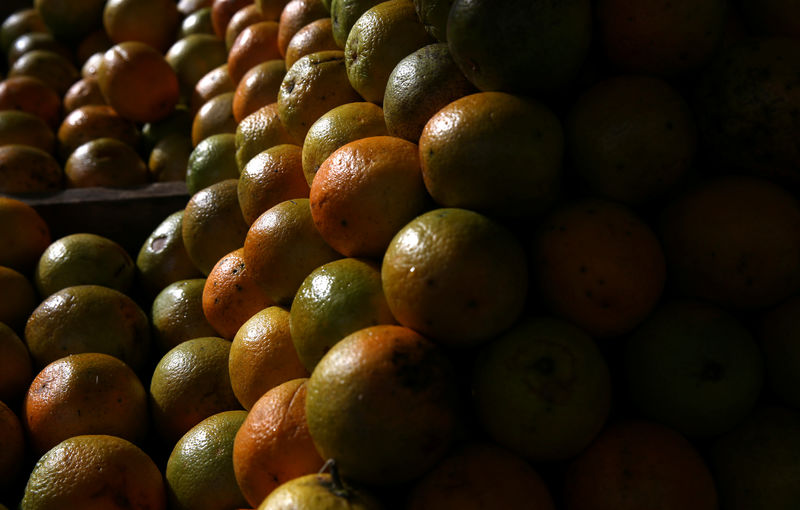 © Reuters. Laranjas em galpão de armazenamento