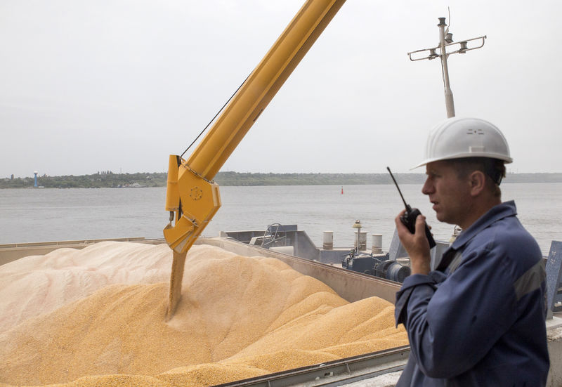 © Reuters. Сотрудник следит за погрузкой зерна в порту Николаева