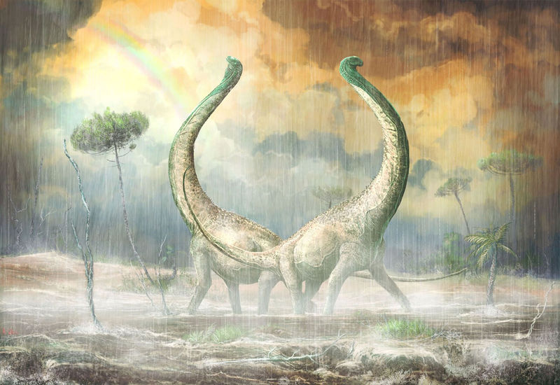 © Reuters. "Bestia" de Tanzania arroja luz sobre grupo de dinosaurios gigantes