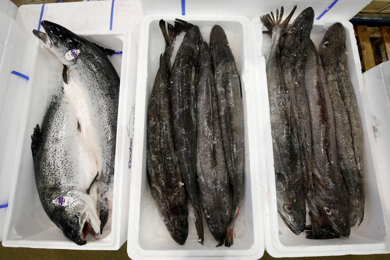 © Reuters. FILE PHOTO: Scottish salmon is pictured at the fish pavilion in the Rungis International wholesale food market as buyers prepare for the Christmas holiday season in Rungis