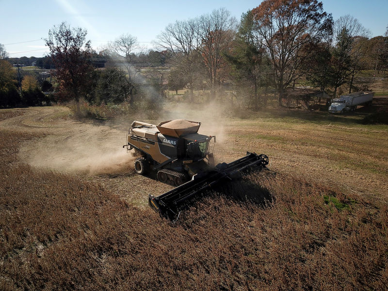 © Reuters. FILE PHOTO: A farmer harvests a crop of soybeans in Hickory