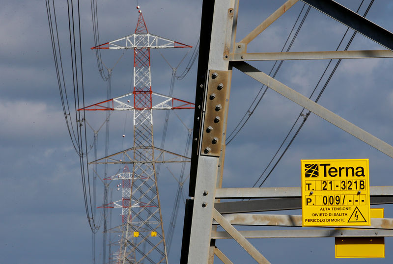 © Reuters. Terna high voltage pylons are seen in Montalto di Castro