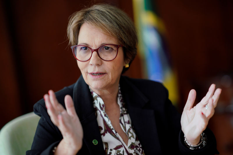 © Reuters. Brazil's Agriculture Minister Tereza Cristina gestures during an interview with Reuters in Brasilia