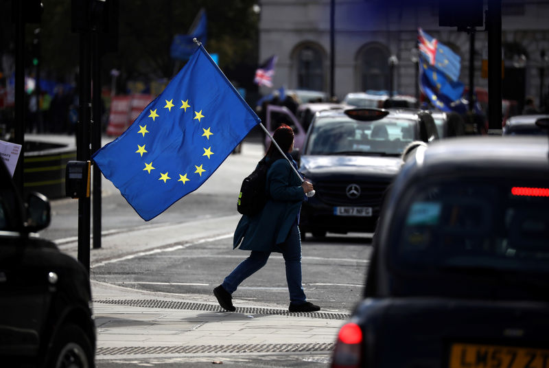 © Reuters. An Anti-Brexit protester crosses the street outside the Houses of Parliament, in Westminster