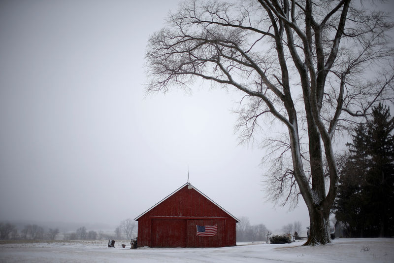 © Reuters. FILE PHOTO: A U.S. flag hangs from a barn in Solon, Iowa, January 25, 2015.
