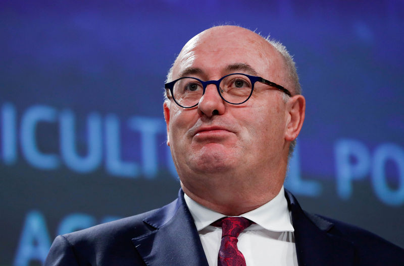 © Reuters. FILE PHOTO: European Commissioner for Agriculture and Rural Development Phil Hogan holds a news conference on the CAP post-2020 in Brussels