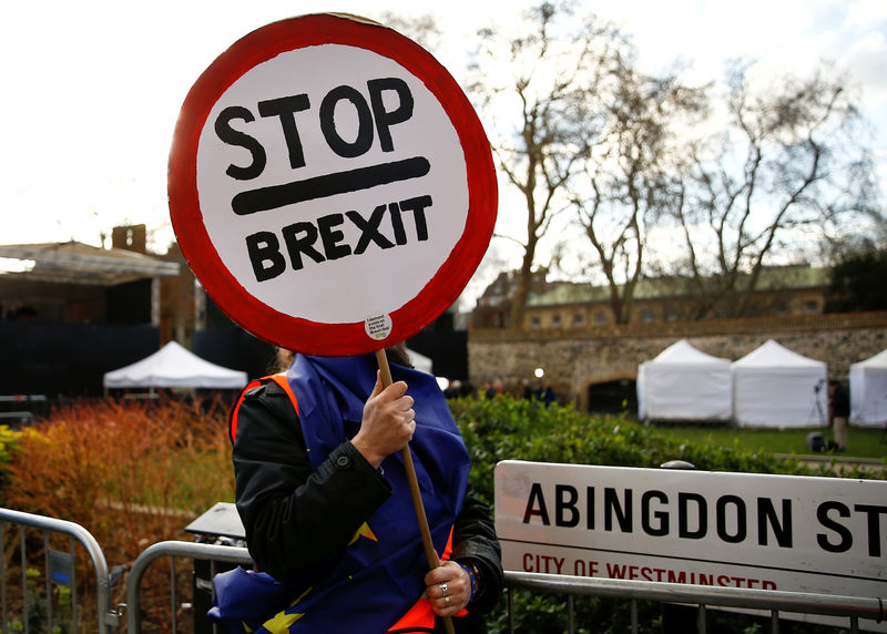 © Reuters. An Anti-Brexit protester is seen outside the Houses of Parliament