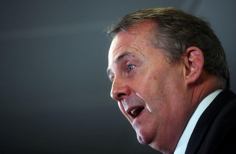 © Reuters. FILE PHOTO: Britain's Secretary of State for International Trade Liam Fox delivers a speech in central London