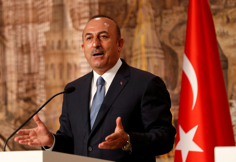 © Reuters. FILE PHOTO: Turkish Foreign Minister Cavusoglu speaks during a news conference in Istanbul