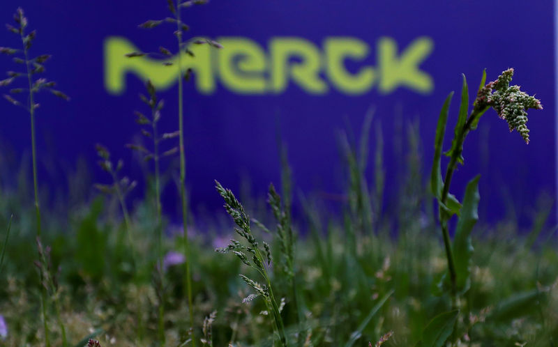 © Reuters. FILE PHOTO: The logo of German pharmaceuticals company Merck is seen at the company's headquarters in Darmstadt