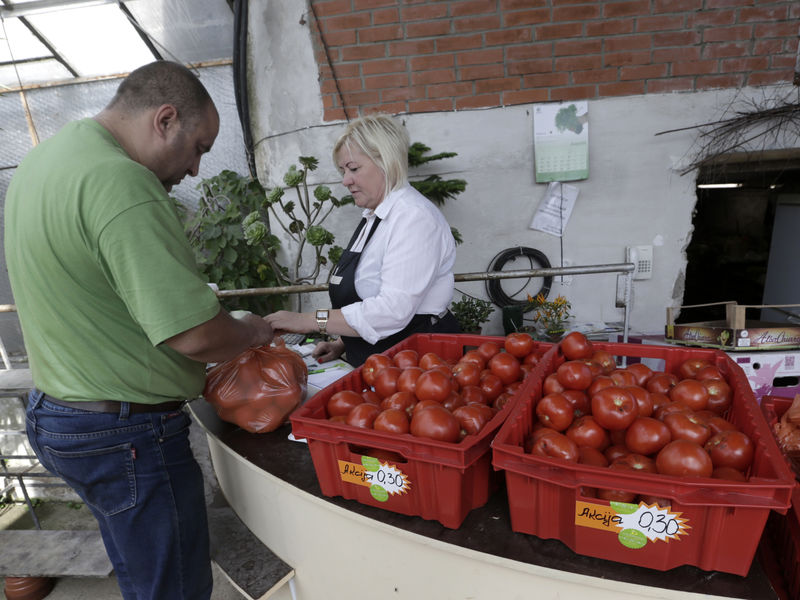 © Reuters. People shop for tomatoes in the family owned farm "Kligeni" in Cesis