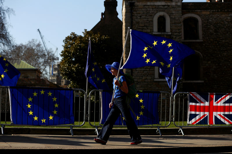 © Reuters. An anti-Brexit protester walks outside of the Houses of Parliament in London