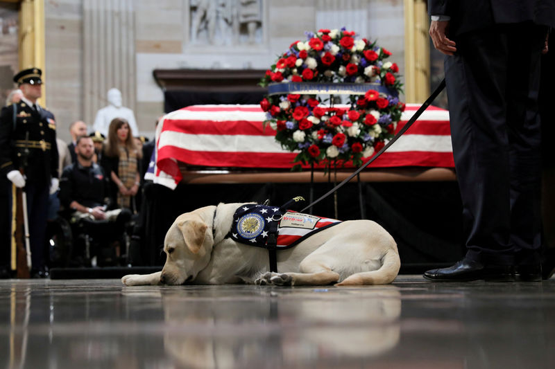 © Reuters. سولي كلب بوش الأب يبدأ عملا جديدا بمركز طبي