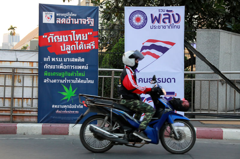 Green economy? Thai party campaigns on marijuana as cash crop