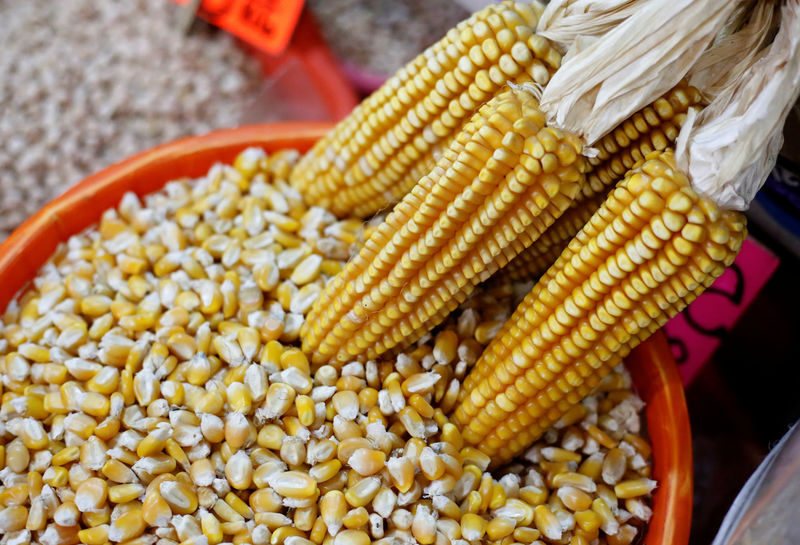 © Reuters. FILE PHOTO: Corn cobs and yellow corn are on display at a market in Mexico City