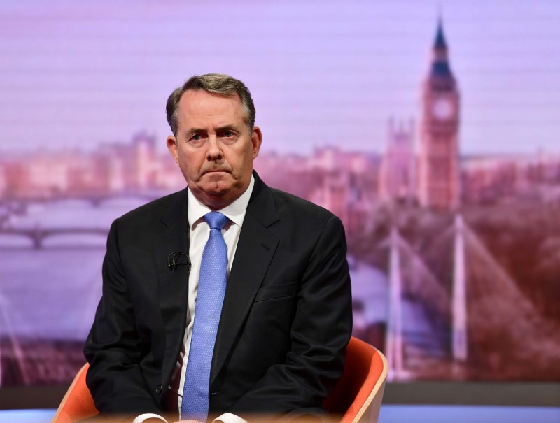 © Reuters. Britain's Secretary of State for International Trade Liam Fox appears on BBC TV's The Andrew Marr Show in London