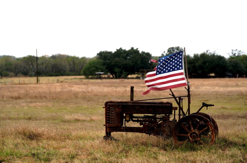 © Reuters. FILE PHOTO: A tattered U.S. flag flies on an old tractor in a farm field outside Sutherland Springs