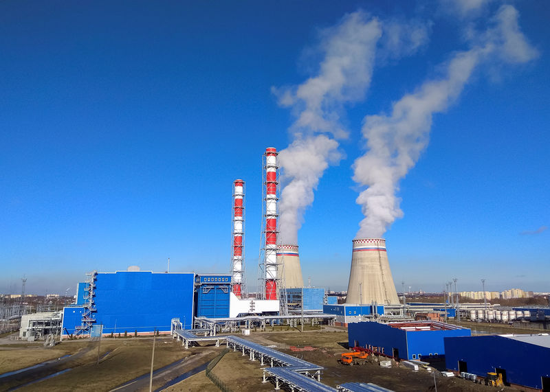 © Reuters. General view of the Pregolsky gas-powered station in Kaliningrad