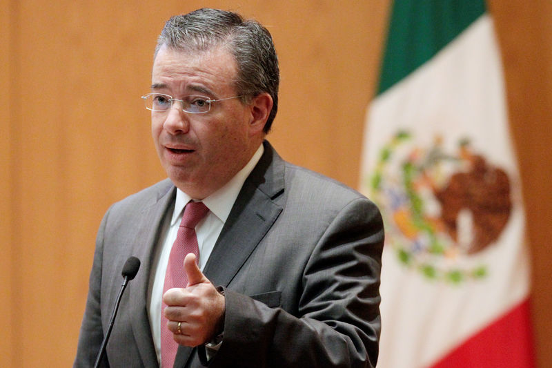 © Reuters. FILE PHOTO:  Mexico's Central Bank Governor Alejandro Diaz de Leon gestures during a conference in Mexico City