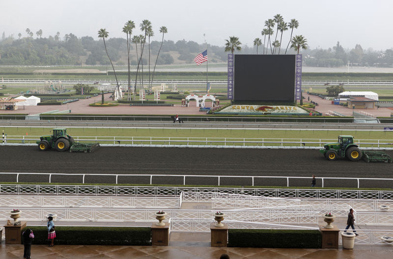 © Reuters. FILE PHOTO: The artificial dirt track at Santa Anita Park is groomed during morning exercises in preparation for the Breeders Cup World Championship including the $5 million Breeders' Cup Classic at Santa Anita Park horse track in Arcadia, California