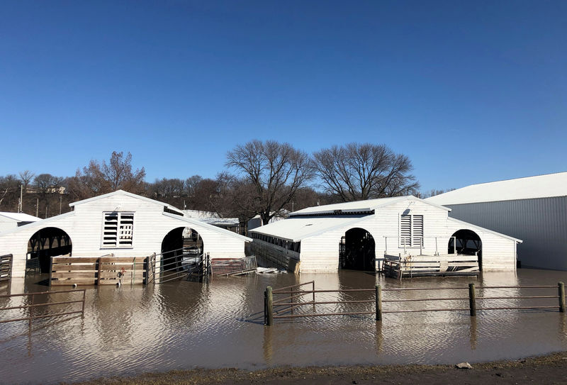 © Reuters. FILE PHOTO: Paddocks at Nebraska's Washington County Fairgrounds are shown underwater due to flooding in Arlington, Nebraska