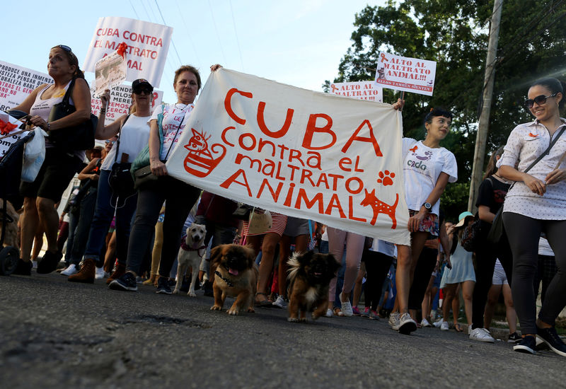 © Reuters. Personas con una pancarta durante una marcha en defensa de los derechos de los animales en La Habana