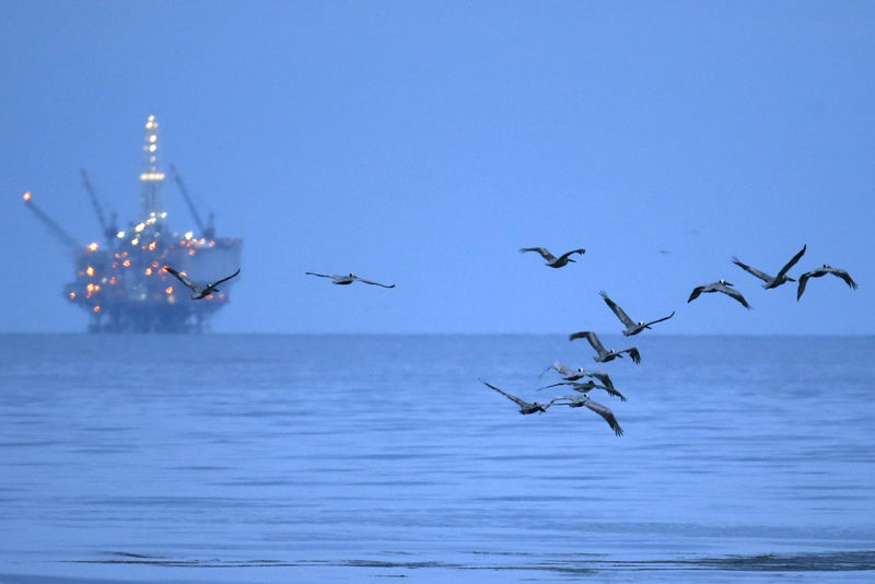 © Reuters. FILE PHOTO: Birds covered in oil fly in front of an oil-drilling platform above an oil slick along the coast of Refugio State Beach in Goleta