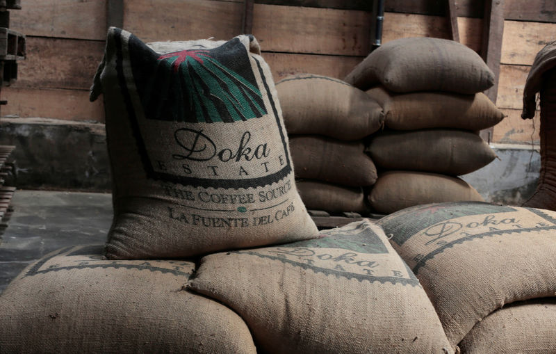 © Reuters. Sacks of coffee beans bound for export are seen at the Doka Coffee plantation in Sabanilla de Alajuela