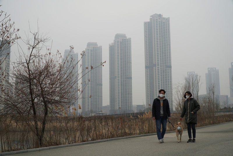 © Reuters. Cho Eun-hye and her one-and-a-half-year-old Korean Jindo dog Hari, both wearing masks, go for a walk on a poor air quality day in Incheon