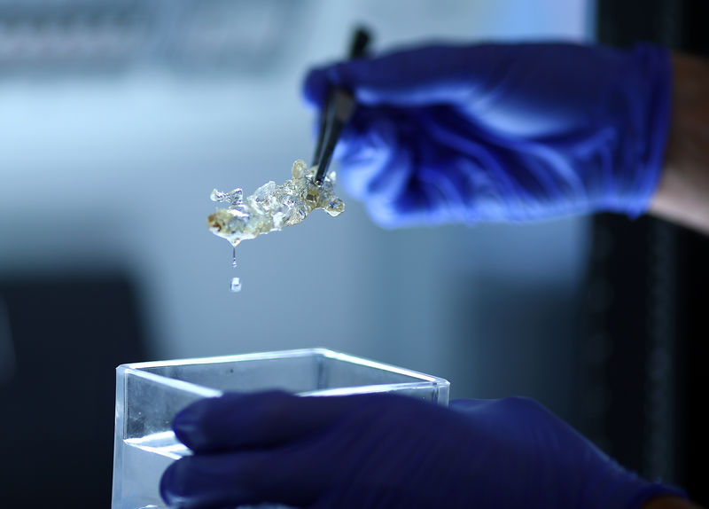 © Reuters. علماء ألمان يبتكرون تقنية تجعل أعضاء الجسم شفافة