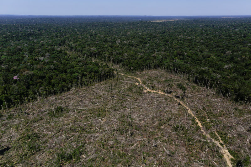 © Reuters. Imagens aéreas mostram área desmatada na Amazônia