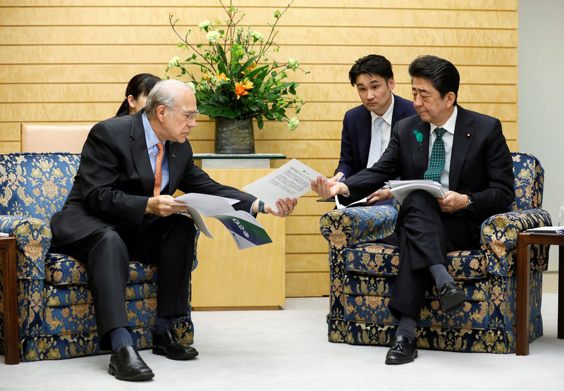 © Reuters. Angel Gurria, Secretary-General of the Organisation for Economic Co-operation and Development (OECD), shows reports about G20 from OECD's recent annual report to Japanese Prime Minister Shinzo Abe during a courtesy call at the latter's official residence i