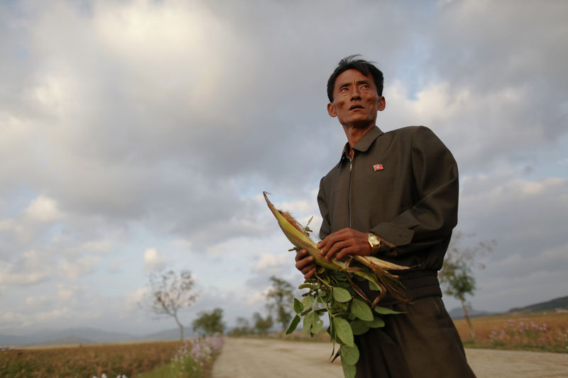 © Reuters. Gerente de cooperativa de agricultores da Coreia do Norte em área de plantio afetada por problemas climáticos