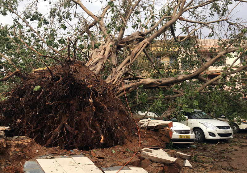 © Reuters. LE CYCLONE FANI A FAIT 12 MORTS DANS LE NORD-EST DE L'INDE