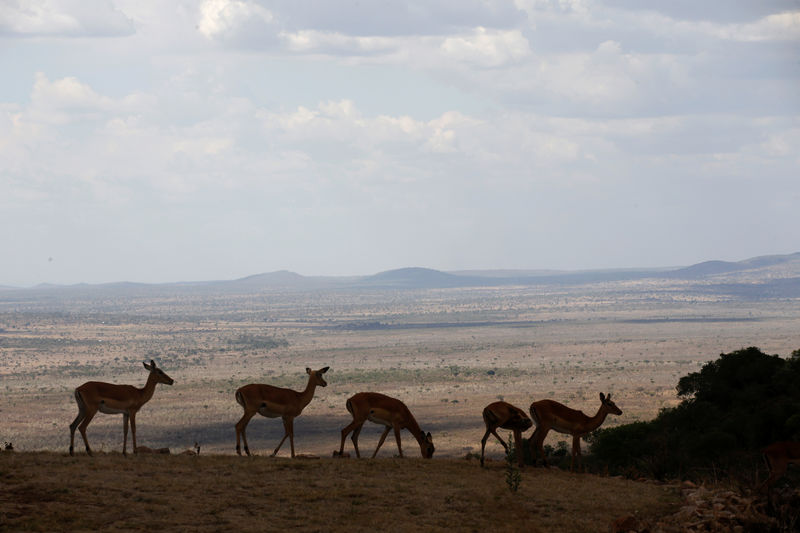 © Reuters. ALERTE MONDIALE SUR LA BIODIVERSITÉ