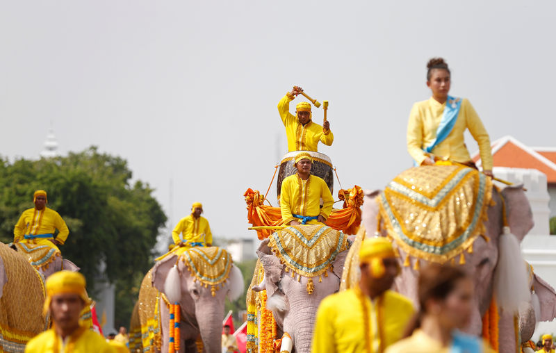 © Reuters. Dez elefantes desfilam perto do Grande Palácio de Bangcoc em homenagem ao novo rei tailandês, Maha Vajiralongkorn, em Bangcoc