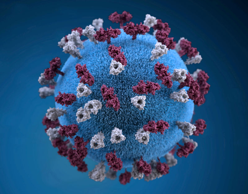 © Reuters. FOTO DE ARCHIVO: Representación gráfica en 3D de una partícula de virus del sarampión