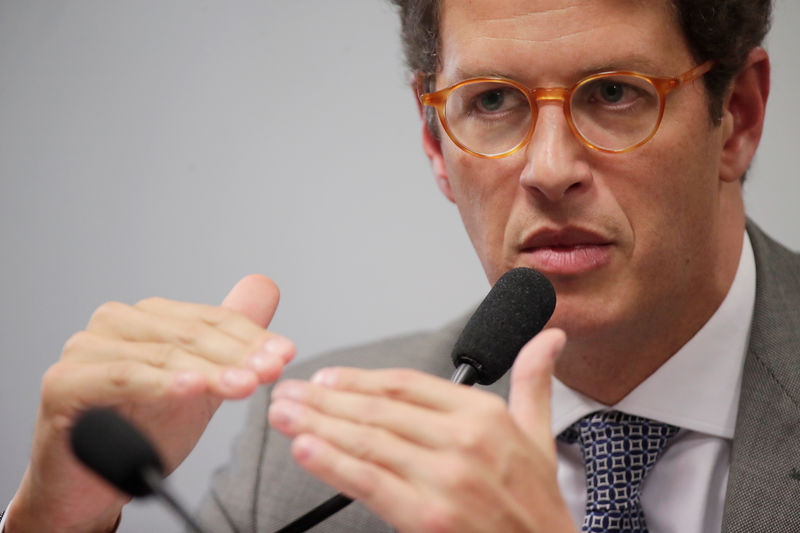 © Reuters. Ministro do Meio Ambiente, Ricardo Salles, durante audiência no Senado