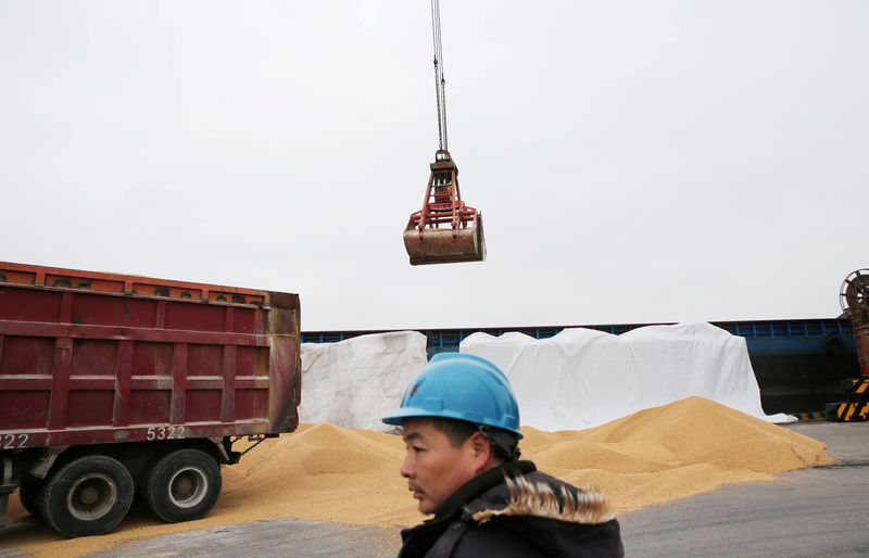 © Reuters. FILE PHOTO: Worker looks on as imported soybeans are transported at a port in Nantong