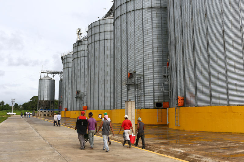 © Reuters. Trabalhadores caminham em frente a silos de de arroz em Tucupita