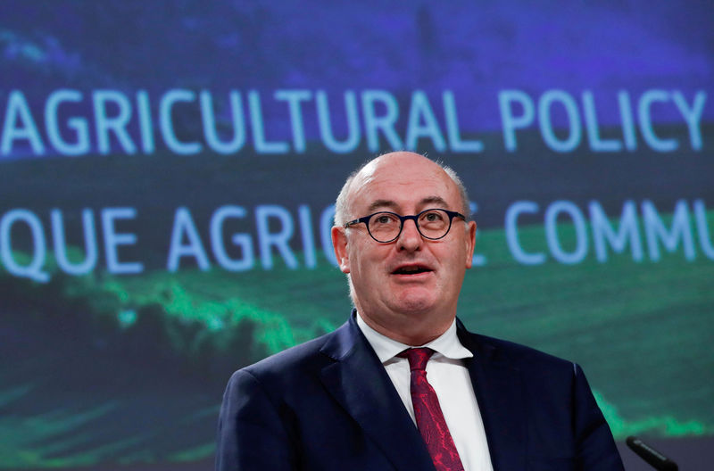 © Reuters. FILE PHOTO: European Commissioner for Agriculture and Rural Development Phil Hogan holds a news conference on the CAP post-2020 in Brussels