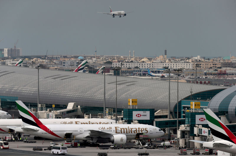 © Reuters. بيان: تحطم طائرة صغيرة في دبي ومقتل ثلاثة بريطانيين ورابع من جنوب أفريقيا