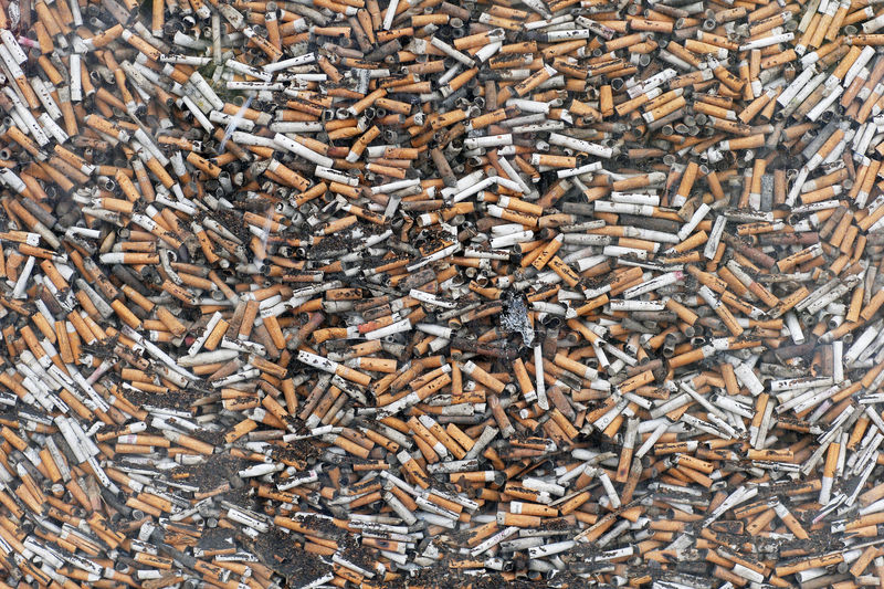 © Reuters. Collected cigarette butts are pictured in a street of Cannes