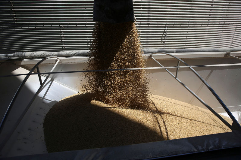 © Reuters. FILE PHOTO: Soybeans are loaded into a truck at the Ruff Brothers Grain elevator in Leonore, Illinois