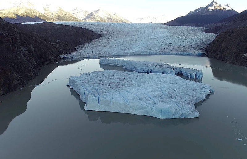 © Reuters. Dois novos icebergs são vistos após se soltarem da Geleira Cinza, na Patagônia chilena