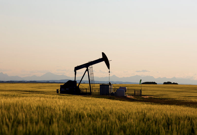 © Reuters. FILE PHOTO: An oil pump jack pumps oil in a field near Calgary