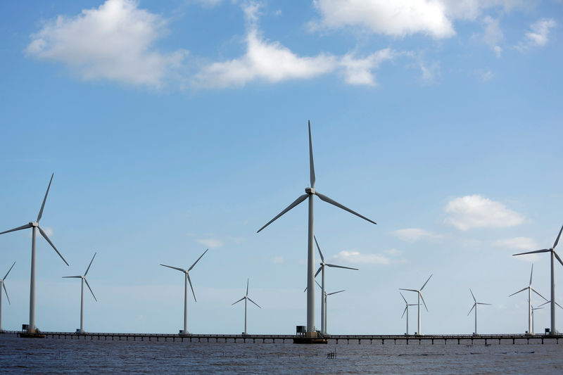 © Reuters. FILE PHOTO: Power-generating windmill turbines are pictured at a wind park in Bac Lieu province