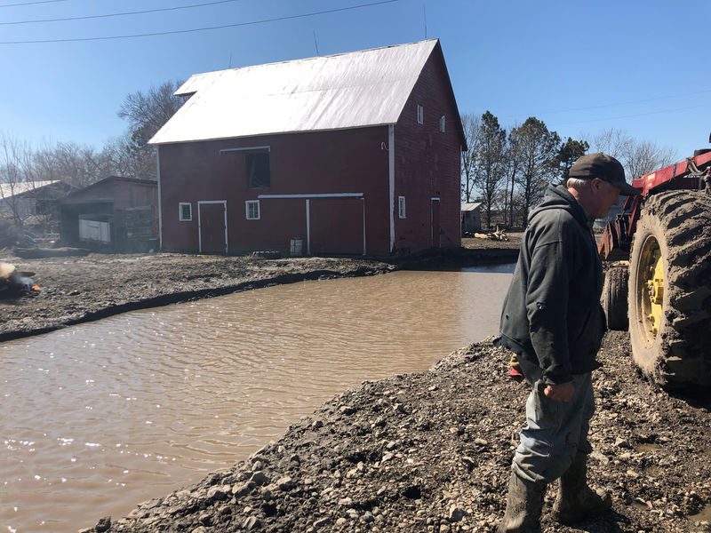 © Reuters. FILE PHOTO: Tom Geisler surveys damaged to his farm, following flooding in Winslow, outside Omaha, Nebraska